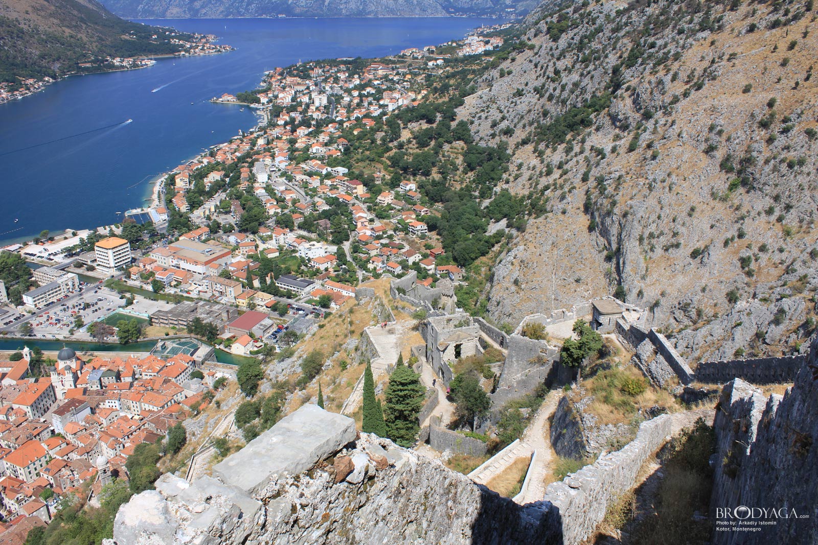 Kotor